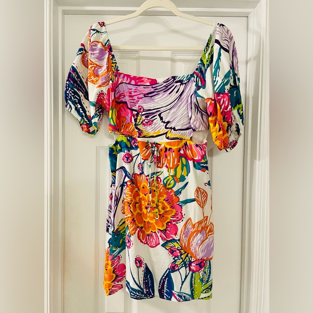 Walter Baker Nina Mini Dress. Size 4 NWT. MSRP$248 - Picture 6 of 8